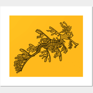 Leafy Seadragon - hand drawn detailed sea animal design Posters and Art